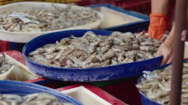 Deniz ürünleri pazarındaki plastik havzalarda sergilenen taze çiğ karidesin yakın görüntüsü. Bir satıcı karidesi bir torbaya koyar. Renkli tepsiler ve el yazısı tabelalar canlı bir sokak pazarı ortamı yaratır.