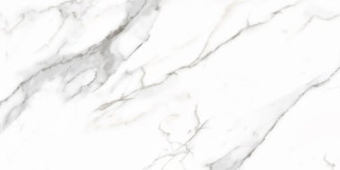 Duvar ve zemin seramik karoları ve yüzeyleri için kullanılan gri damarlı beyaz heykeltraş taş mermer dokusu..