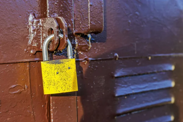 Metal brown door locked with a yellow padlock