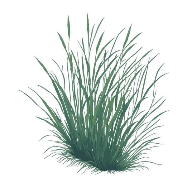 100,000 Rare grass Vector Images | Depositphotos