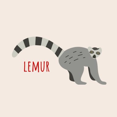 Çizgili kuyruklu şirin lemur, düz çizim. Lemur, beyaz arkaplanda izole edilmiş basit karalama karakteri