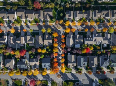 Spokane mahalle evleri hava manzaralı sonbahar renkli güzel cadde