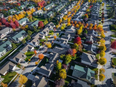Spokane mahalle evleri hava manzaralı sonbahar renkli güzel cadde
