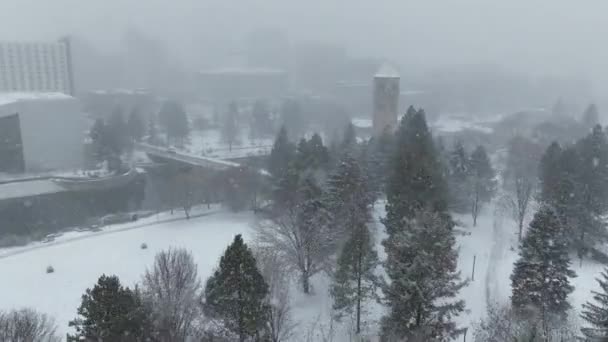 スポークン ダウンタウンの雪 冬の気象降水雪 — ストック動画