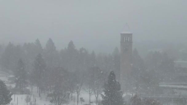 Spokane Nevando Centro Invierno Precipitación Nevada — Vídeos de Stock