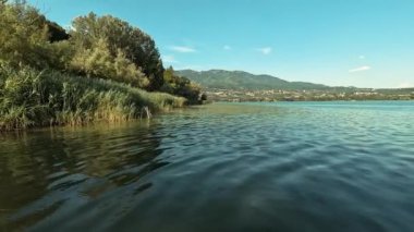 Yaz gününde göl ve orman