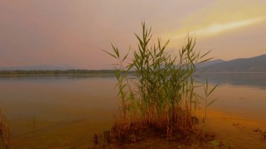 sunrise by the lake in a quiet place