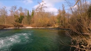 the river in the forest in winter day