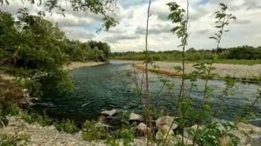 Ticino nehri ormanda