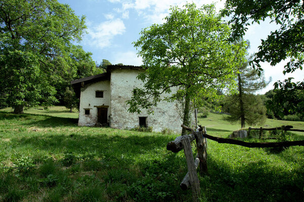 Старый деревянный дом в лесу