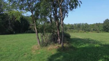 Ağaçların arasında İHA ile hareket