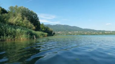 Rüzgarlı bir günde gölün yanında sazlıklar