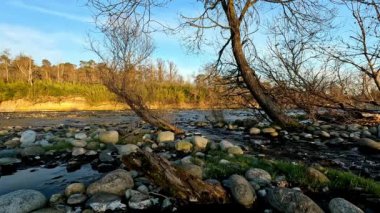 Ticino doğal parkında küçük bir dere.