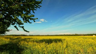 Malpensa yakınlarındaki Milano bozkırlarının panoraması