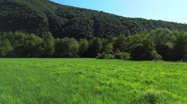 Alplerdeki yeşil bir çayırda İHA uçuruyorum.