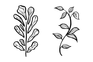 El çizimi vektör tasarımı çiçek elementleri