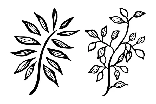 手描きベクトルデザイン花の要素 — ストックベクタ