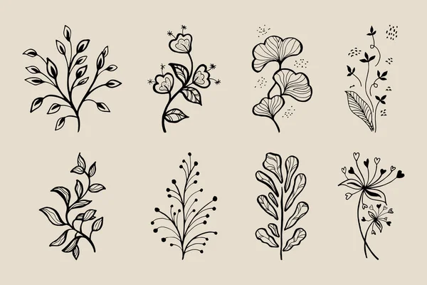Hand Drawn Vector Design Floral Elements — Stock Vector