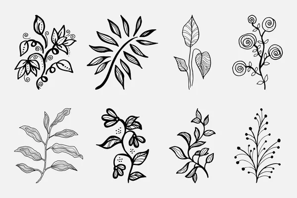 Çizimi Vektör Tasarımı Çiçek Elementleri — Stok Vektör