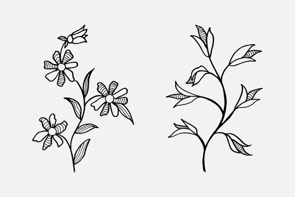 Conception Vectorielle Dessinée Main Éléments Floraux — Image vectorielle