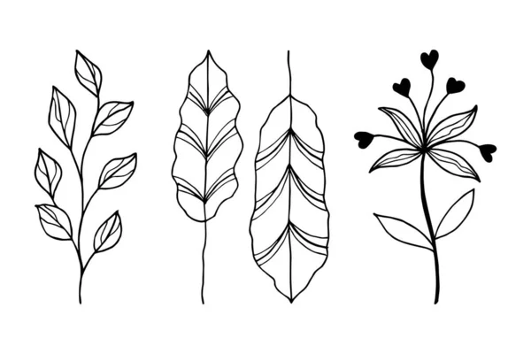 Desenho Vetorial Desenhado Mão Elementos Florais —  Vetores de Stock