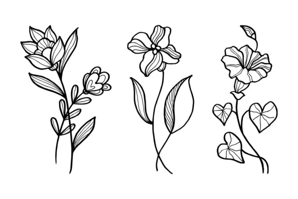 Desenho Vetorial Desenhado Mão Elementos Florais —  Vetores de Stock
