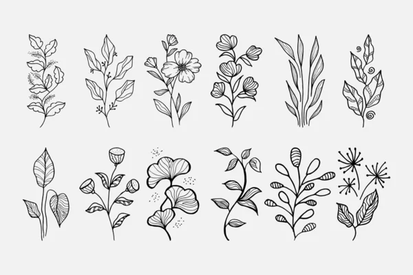 Çizimi Vektör Tasarımı Çiçek Elementleri — Stok Vektör