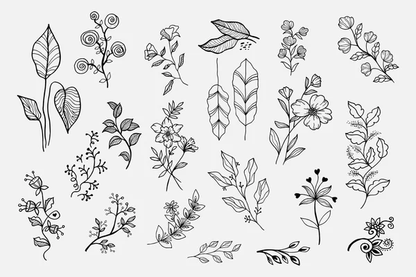 Diseño Vectorial Dibujado Mano Elementos Florales — Archivo Imágenes Vectoriales