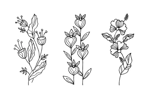 Hand Drawn Vector Design Floral Elements Vector Illustration — Stock Vector
