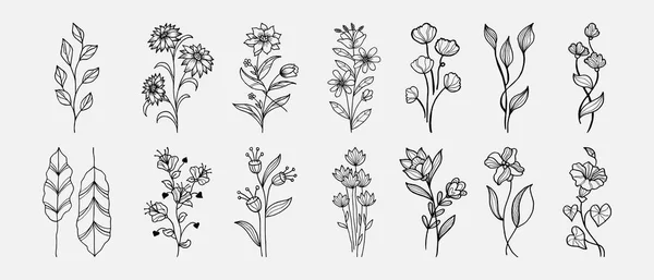 Desenho Vetorial Desenhado Mão Elementos Florais Ilustração Vetorial —  Vetores de Stock