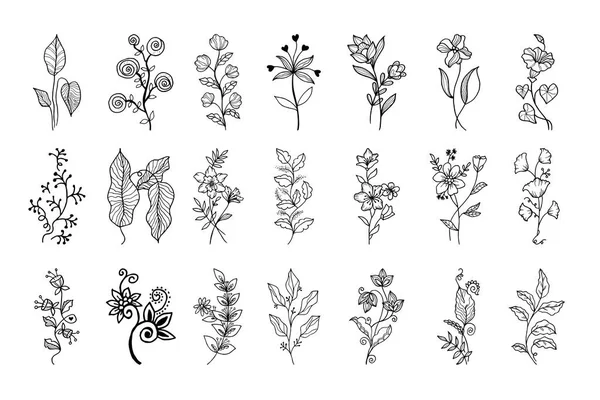 Elementos Florales Diseño Vectorial Dibujado Mano Ilustración Vectorial — Archivo Imágenes Vectoriales