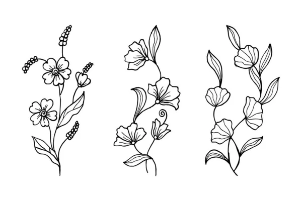 Desenho Vetorial Desenhado Mão Elementos Florais Ilustração Vetorial —  Vetores de Stock