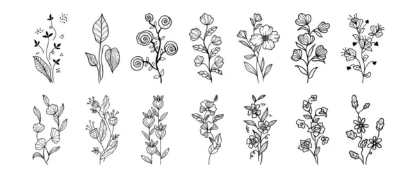 Elementos Florales Diseño Vectorial Dibujado Mano Ilustración Vectorial — Archivo Imágenes Vectoriales