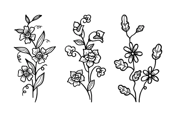 Conception Vectorielle Dessinée Main Éléments Floraux Illustration Vectorielle — Image vectorielle