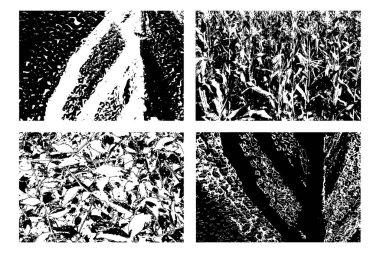 Arkaplan grunge dokusu ayarlandı. vektör illüstrasyonu.