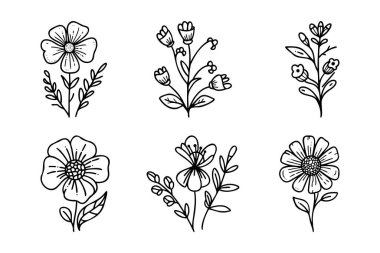 El çizimi vektör tasarımı çiçek elementleri