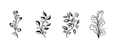 El çizimi vektör tasarımı çiçek elementleri