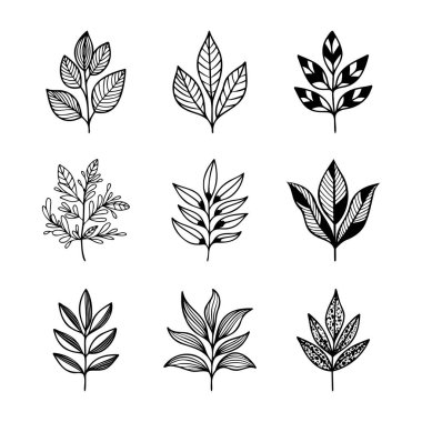 El çizimi vektör tasarımı çiçek elementleri