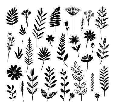 El çizimi çiçek elementleri