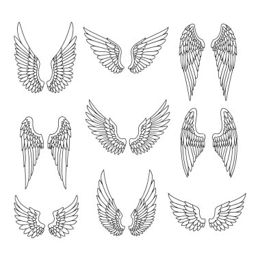 El çizimi melek kanatları ayrıntılı tüy tasarımı ile sanat çizimi