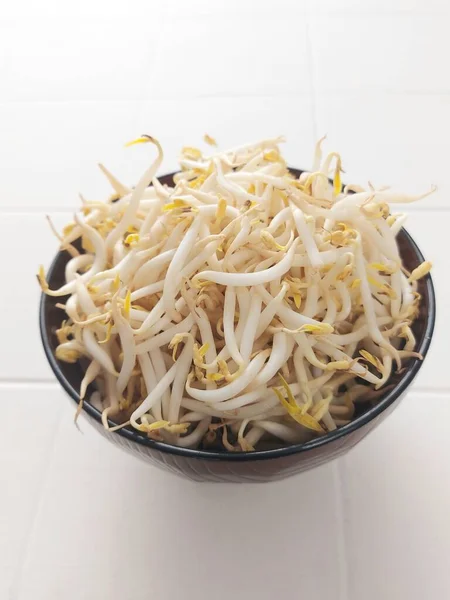 Pile Bean Sprouts Bowl Isolated Background White — Stock Photo, Image