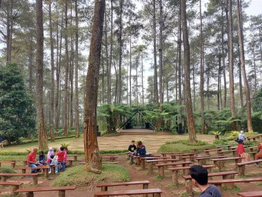 Bandung-Endonezya-Temmuz 12023: orkide ormanı cikole. Cikole 'deki Orkide Çam Ormanı Turizmi, Lembang 