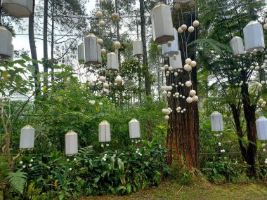 Bandung-Endonezya-Temmuz 12023: orkide ormanı cikole. Cikole 'deki Orkide Çam Ormanı Turizmi, Lembang 