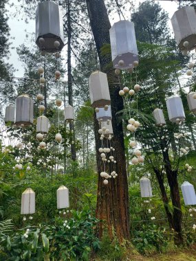 Bandung-Endonezya-Temmuz 12023: orkide ormanı cikole. Cikole 'deki Orkide Çam Ormanı Turizmi, Lembang 