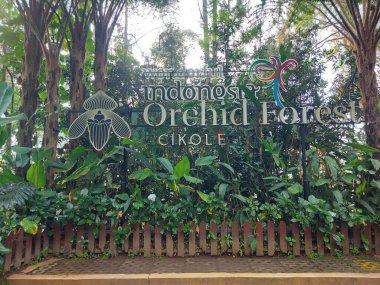 Bandung-Endonezya-Temmuz 12023: orkide ormanı cikole. Cikole 'deki Orkide Çam Ormanı Turizmi, Lembang 