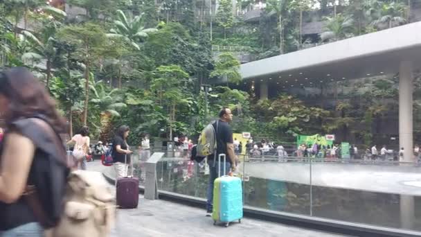Jewel Singapore August 2023 Jewel Changi Airport Ist Ein Naturnaher — Stockvideo