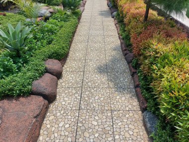 Bahçedeki sokak bitkilerle kaplı. Çok karanlık ve doğal.