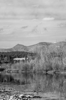 Nehir manzarası ve ormandaki göl.