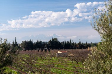 Dağın tepesinden Arbrus Dağı 'nın manzarası.