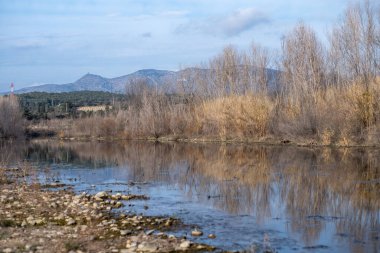 İspanya 'nın Valencia adasının ormanında göl manzarası